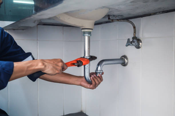 Best Plumbing Services Near Me  in Brinckerhoff, NY
